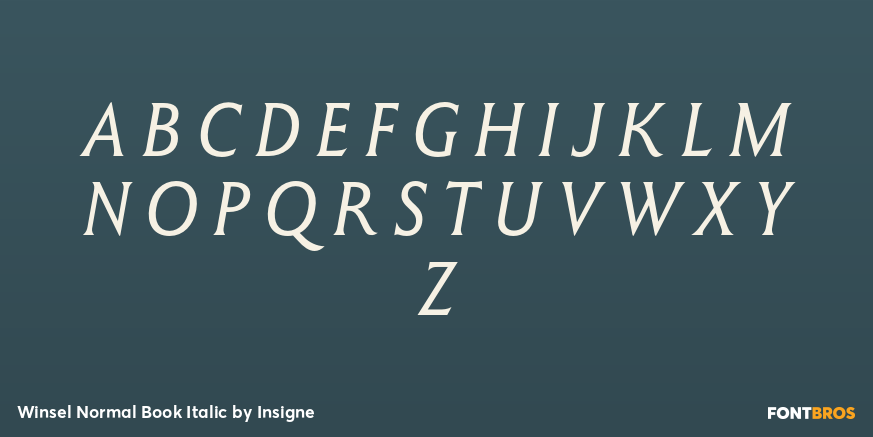 Winsel Normal Book Italic Font Poster #2