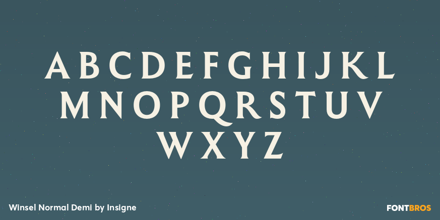 Winsel Normal Demi Font Poster #2