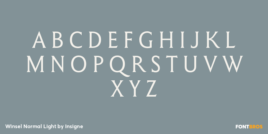 Winsel Normal Light Font Poster #2