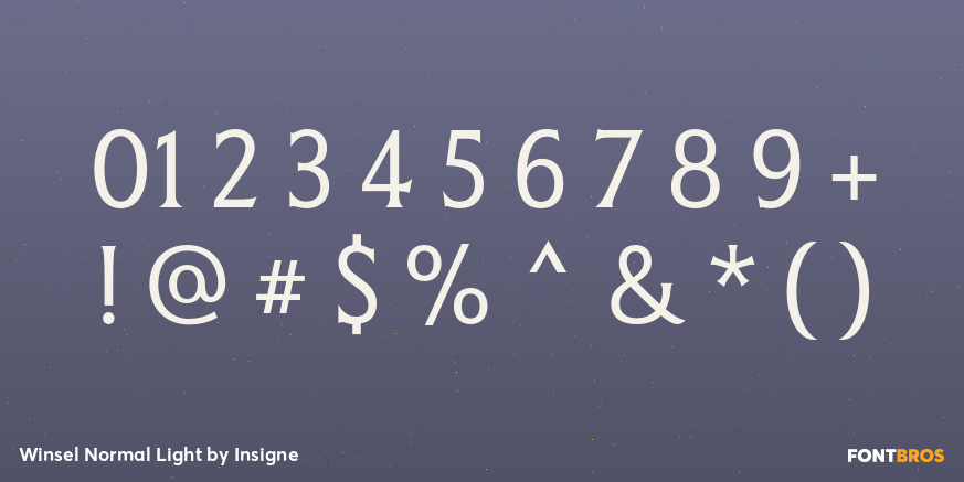 Winsel Normal Light Font Poster #4
