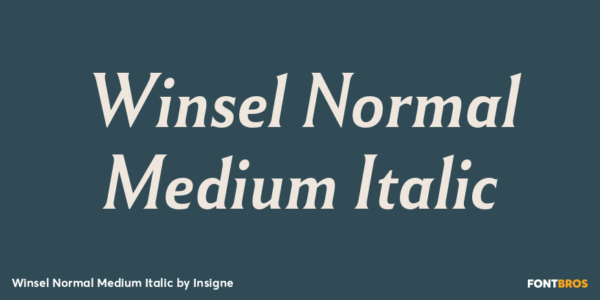 Winsel Normal Medium Italic Font Poster #1