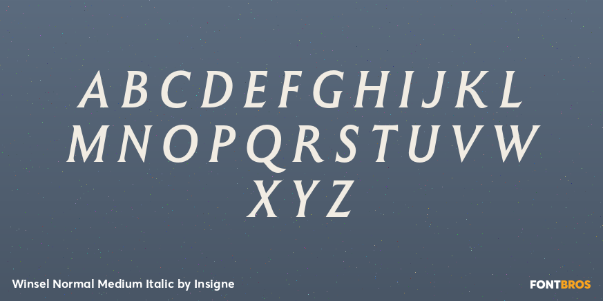 Winsel Normal Medium Italic Font Poster #1