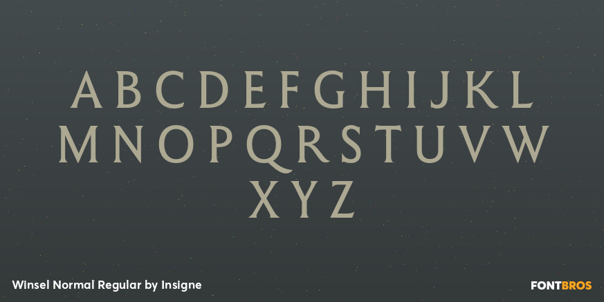 Winsel Normal Regular Font Poster #2