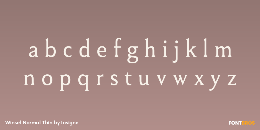 Winsel Normal Thin Font Poster #3