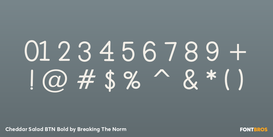 Cheddar Salad BTN Bold Font Poster #1