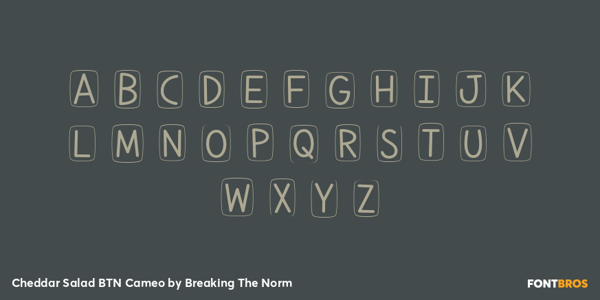 Cheddar Salad BTN Cameo Font Poster #2