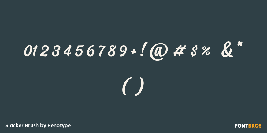 Slacker Brush Font Poster #4