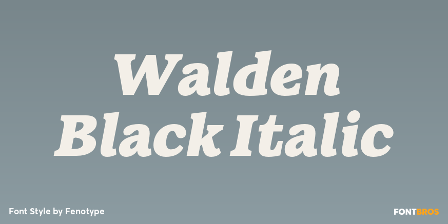 Walden Black Italic Poster