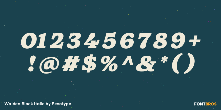 Walden Black Italic Font Poster #1