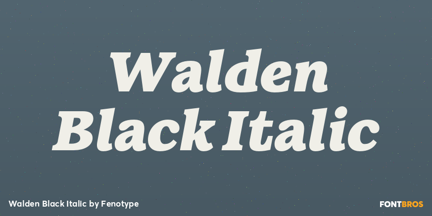 Walden Black Italic Poster