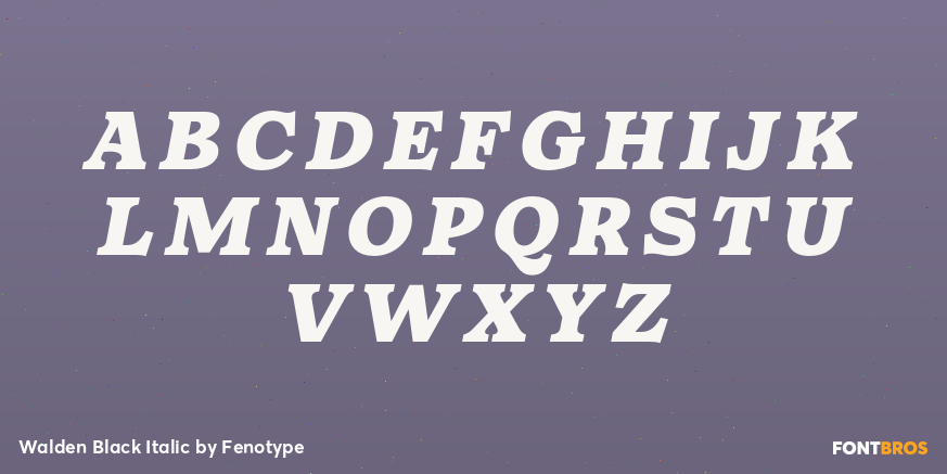 Walden Black Italic Font Poster #2