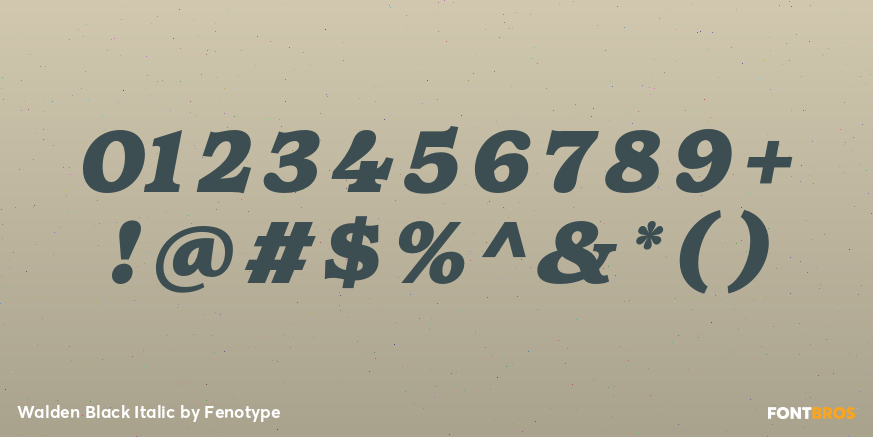 Walden Black Italic Font Poster #4
