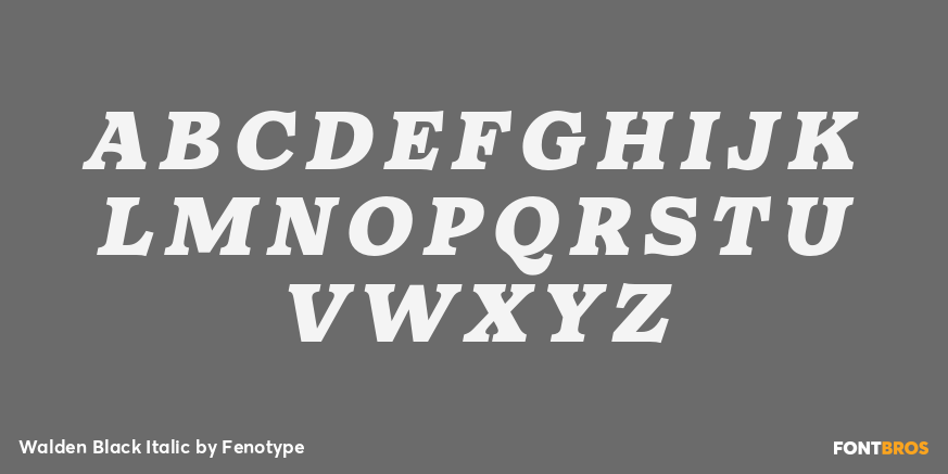 Walden Black Italic Font Poster #1