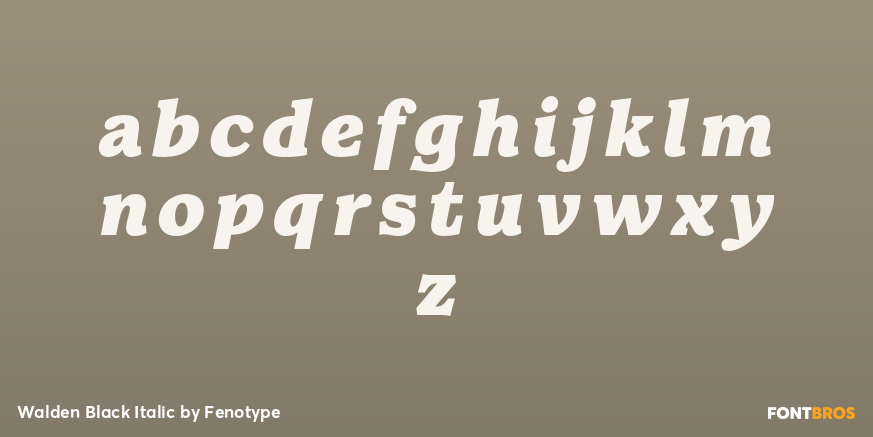 Walden Black Italic Font Poster #1