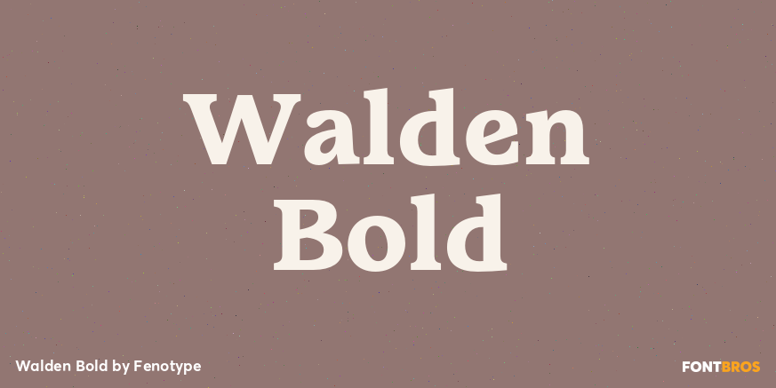 Walden Bold Font Poster #1