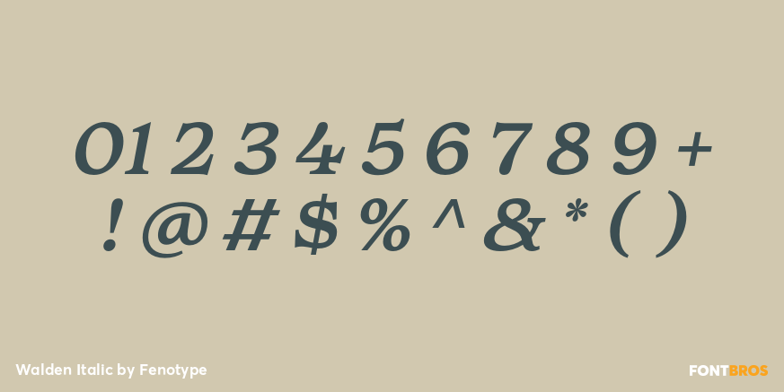 Walden Italic Font Poster #1