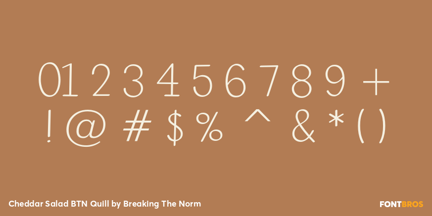 Cheddar Salad BTN Quill Font Poster #1