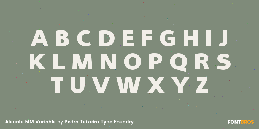 Aleante MM Variable Font Poster #2