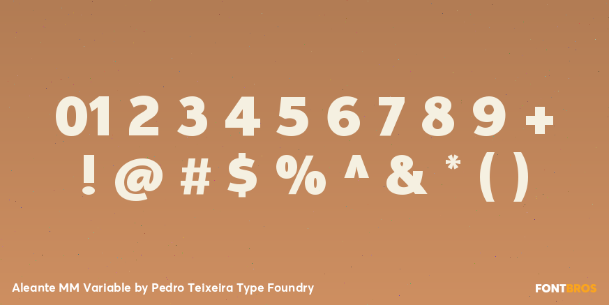 Aleante MM Variable Font Poster #4