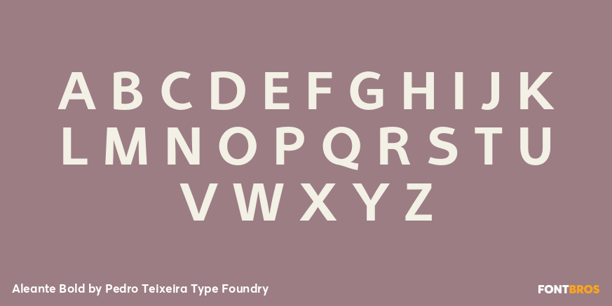 Aleante Bold Font Poster #2