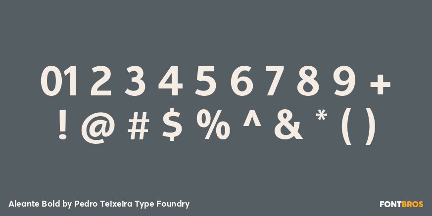 Aleante Bold Font Poster #4