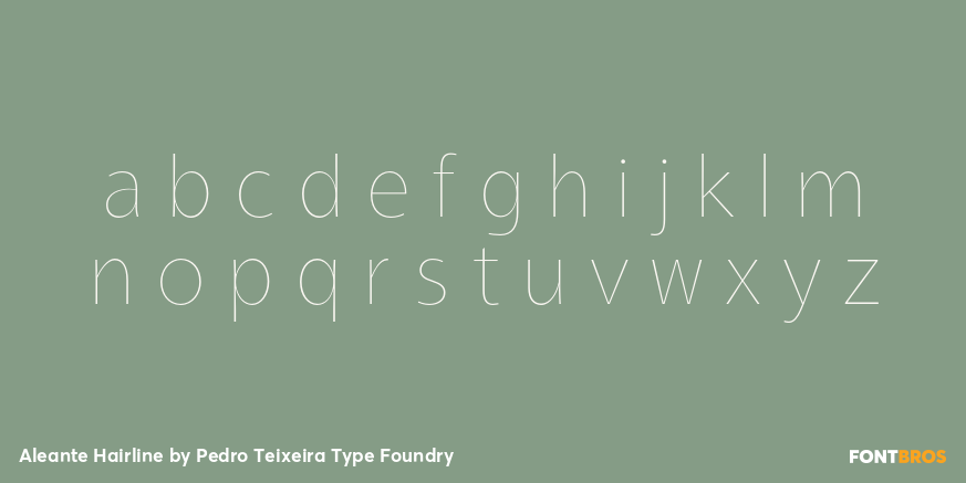 Aleante Hairline Font Poster #3