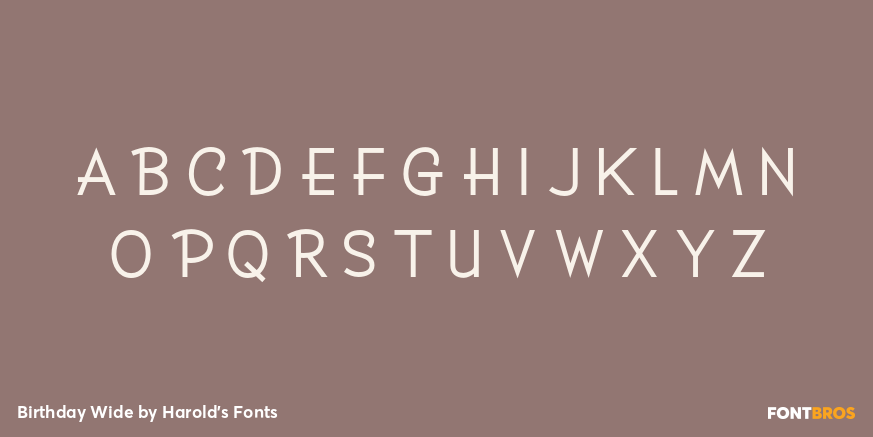 Birthday Wide Font Poster #2