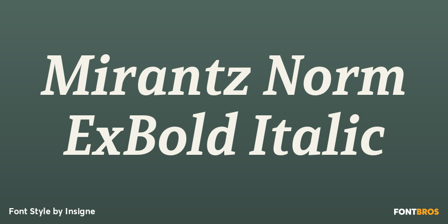 Mirantz Norm ExBold Italic Font Poster #1
