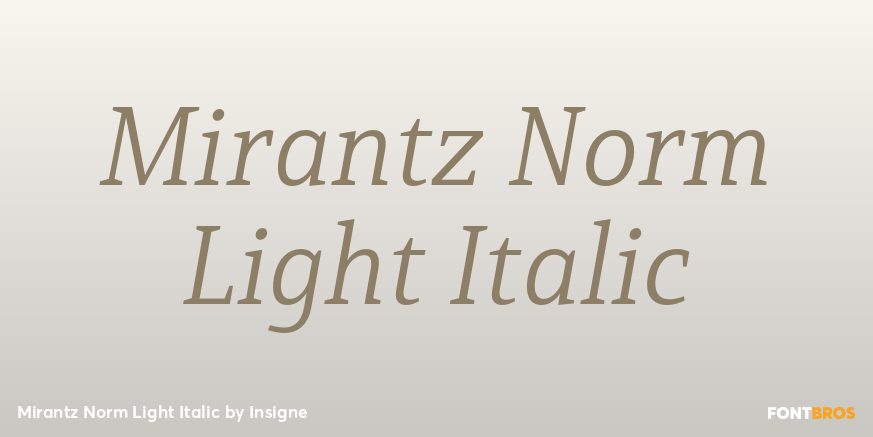 Mirantz Norm Light Italic Font Poster #1
