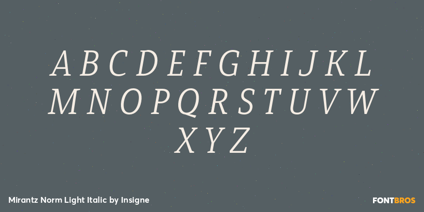 Mirantz Norm Light Italic Font Poster #2