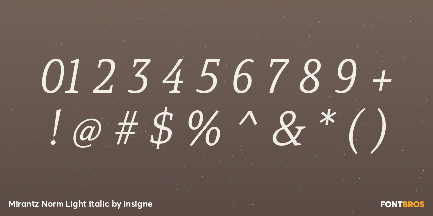 Mirantz Norm Light Italic Font Poster #4