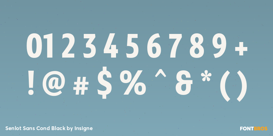 Senlot Sans Cond Black Font Poster #4