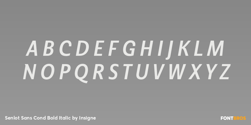 Senlot Sans Cond Bold Italic Font Poster #2