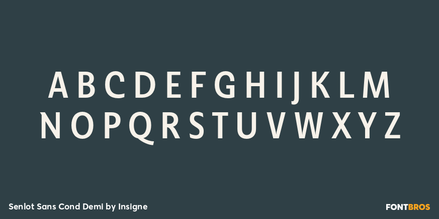 Senlot Sans Cond Demi Font Poster #1