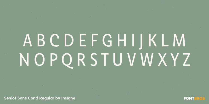 Senlot Sans Cond Regular Font Poster #2
