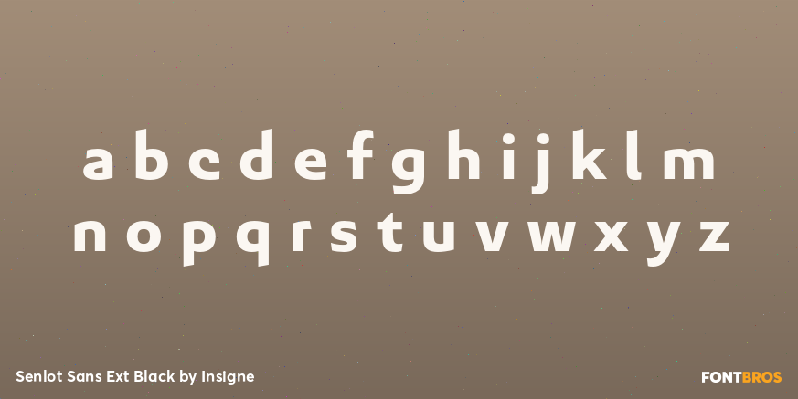 Senlot Sans Ext Black Font Poster #3