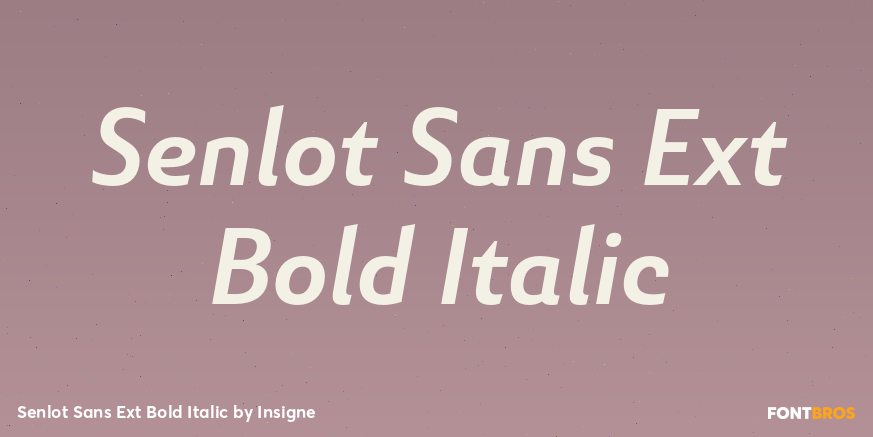 Senlot Sans Ext Bold Italic Font Poster #1
