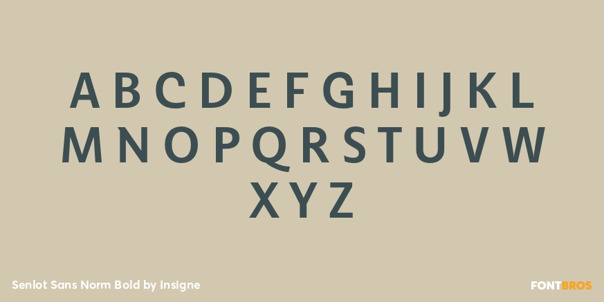Senlot Sans Norm Bold Font Poster #1