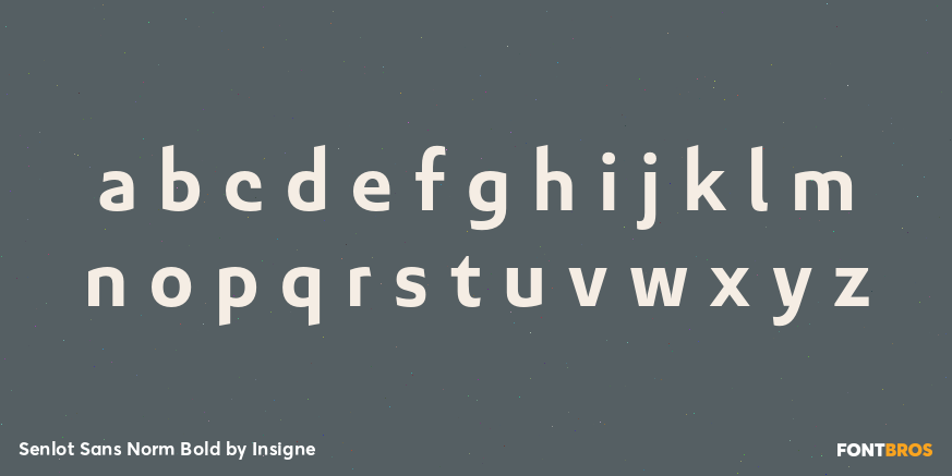 Senlot Sans Norm Bold Font Poster #1