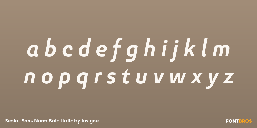 Senlot Sans Norm Bold Italic Font Poster #3
