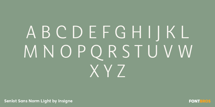 Senlot Sans Norm Light Font Poster #1
