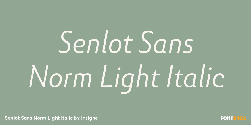 Senlot Sans Norm Light Italic Font Poster #1