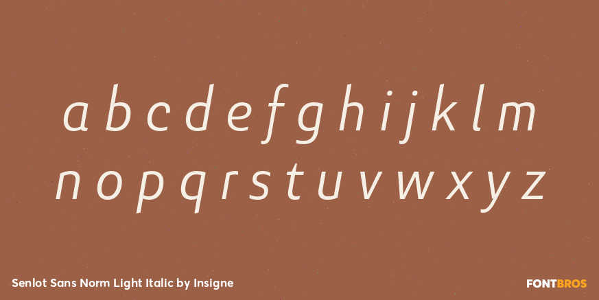 Senlot Sans Norm Light Italic Font Poster #3