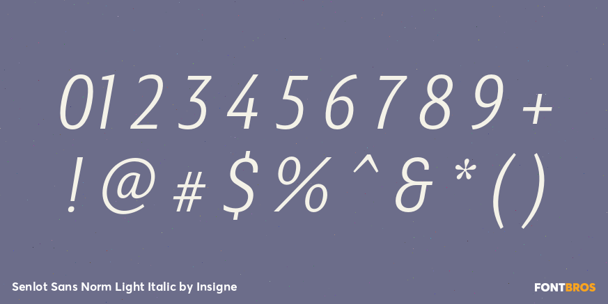 Senlot Sans Norm Light Italic Font Poster #4