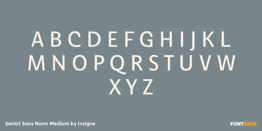 Senlot Sans Norm Medium Font Poster #1