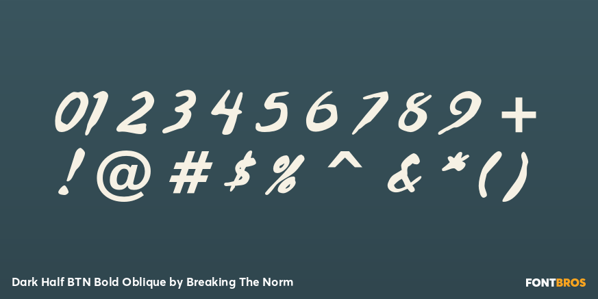 Dark Half BTN Bold Oblique Font Poster #1