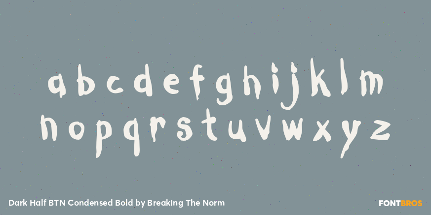 Dark Half BTN Condensed Bold Font Poster #3