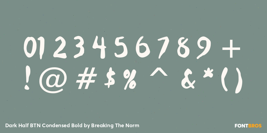 Dark Half BTN Condensed Bold Font Poster #4