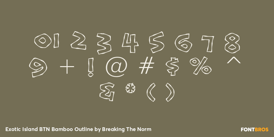 Exotic Island BTN Bamboo Outline Font Poster #4