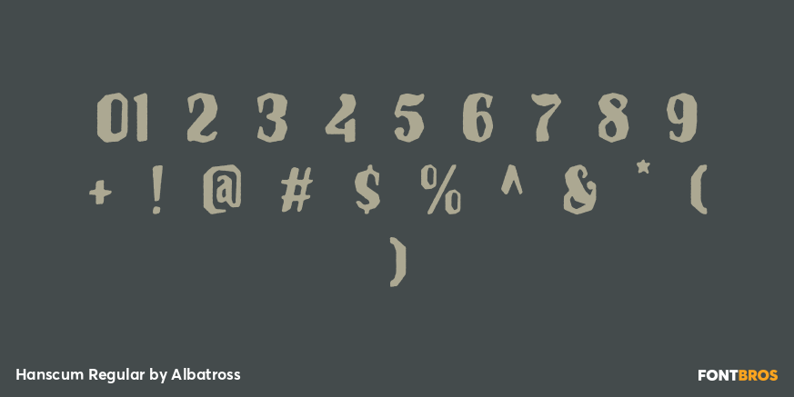 Hanscum Regular Font Poster #4